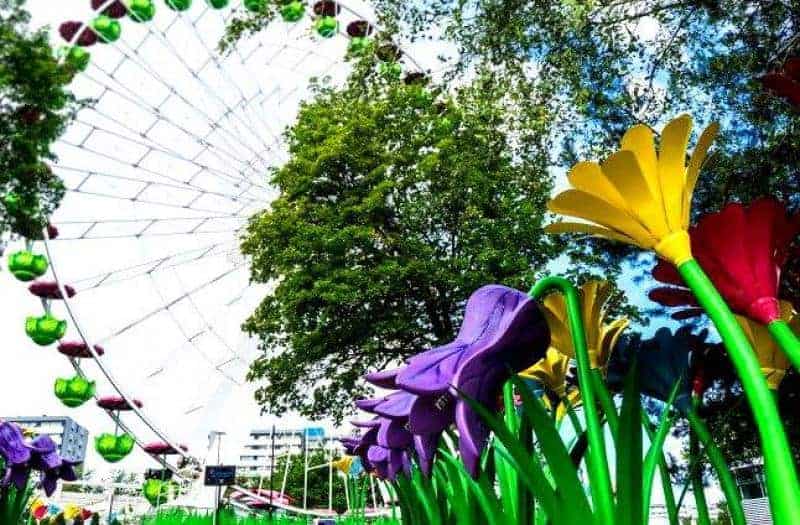 Legendia-Blume 2 Diabelski młyn i kolorowe kwiaty na tle drzew w parku rozrywki.