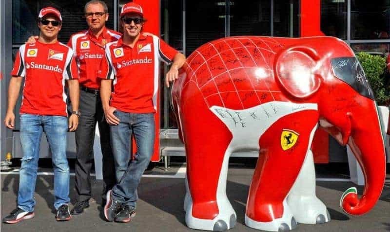 oryg_064490685_1129949550544944_1465385417682452480_o oryg 1TheFerrariElephant