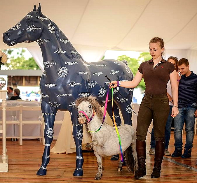 PFERD Glasfaser -Figuren LeBensgroß - Einfarbig 2 3D figura jednokolorowy koń naturalnej wielkości