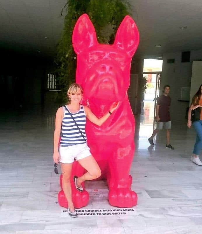 oryg_064490685_1129949550544944_1465385417682452480_o bulldog4