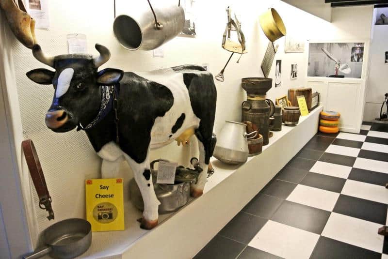 Kalb 3 Wnętrze muzeum mleczarstwa z figurą krowy i starymi naczyniami mleczarskimi wystawionymi na półkach.