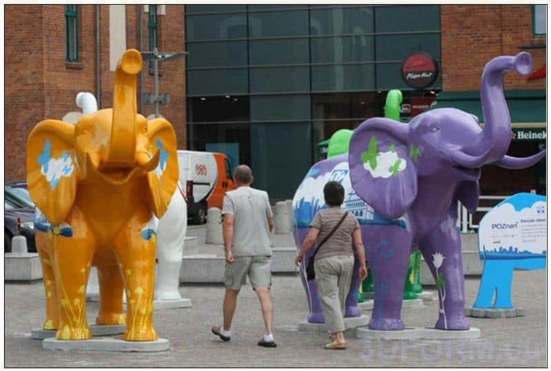Werbeelefanten aus Posen 2 Kolorowe rzeźby słoni na wystawie plenerowej, oglądane przez dwie osoby.