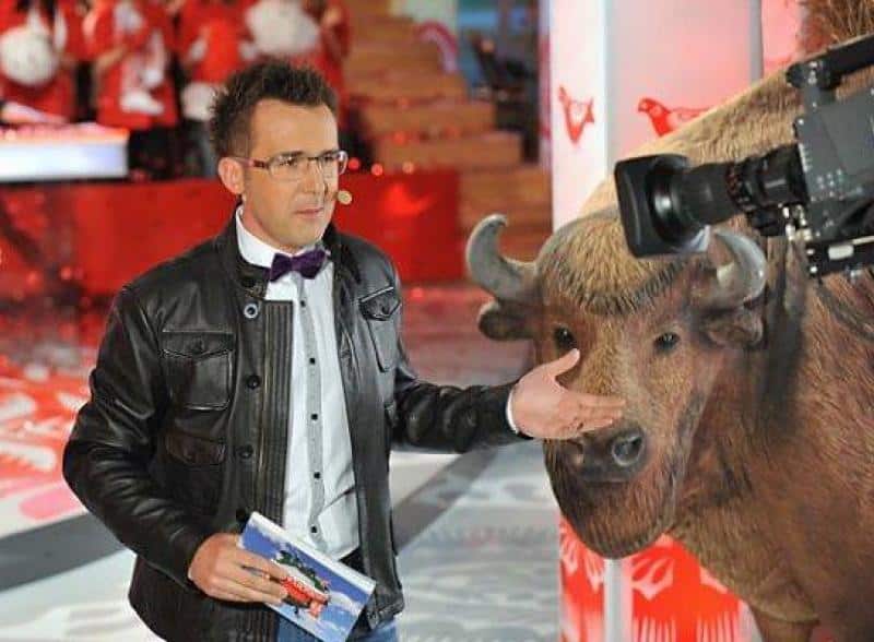 Bisons in Mężczyzna w okularach i skórzanej kurtce stoi obok wypchanego żubra w studiu telewizyjnym.