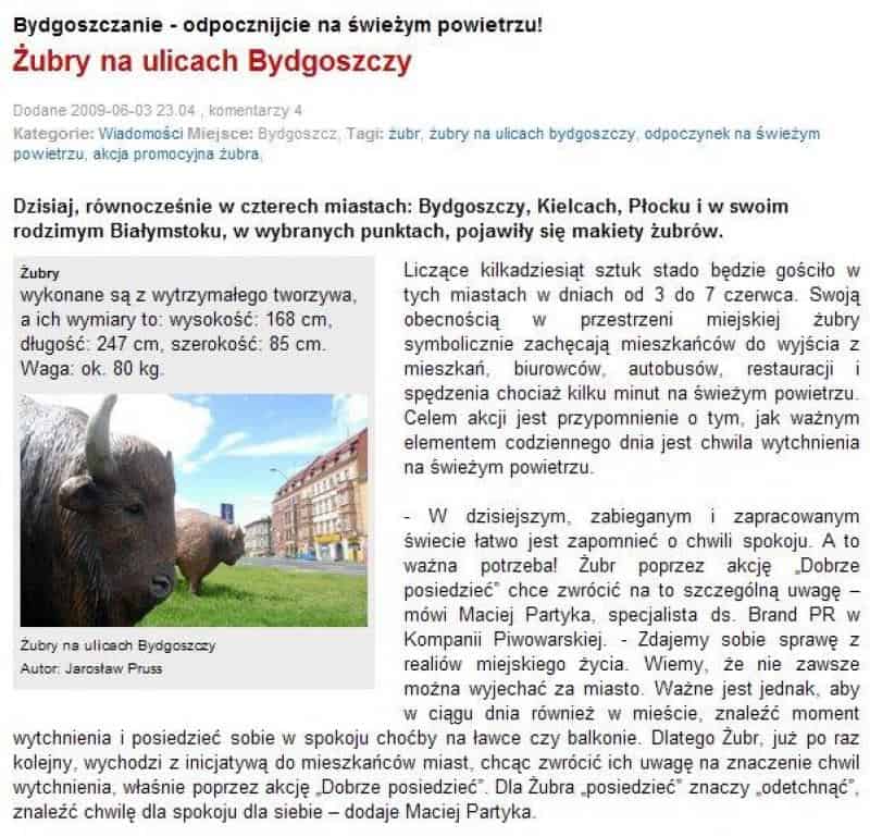 Werbefiguren für Żubr-Bier 2 Żubry na ulicach Bydgoszczy, w Kielcach, Płocku i Białymstoku. Makiety żubrów zachęcają mieszkańców do wypoczynku na świeżym powietrzu.
