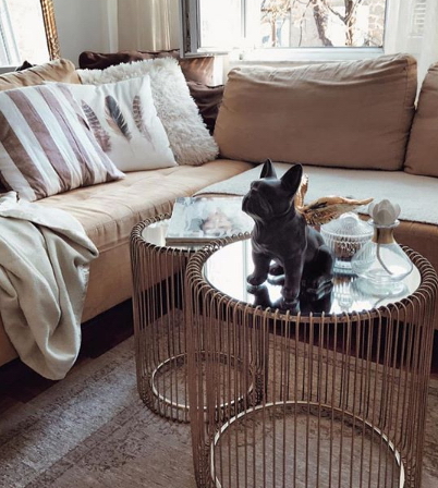 Dekofigur Kleine Französchen Bulldogge Sitten - Einfarbig 3 Figurka dekoracyjna pies Bulldog Francuski - jednokolorowy