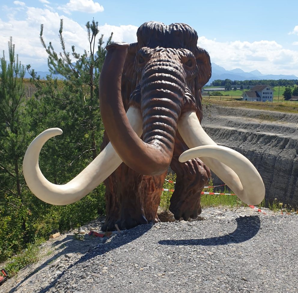 Lebensgroßes Mammut für den Freizeitpark 6 Mamut 400cm montaż-3DFORMeu