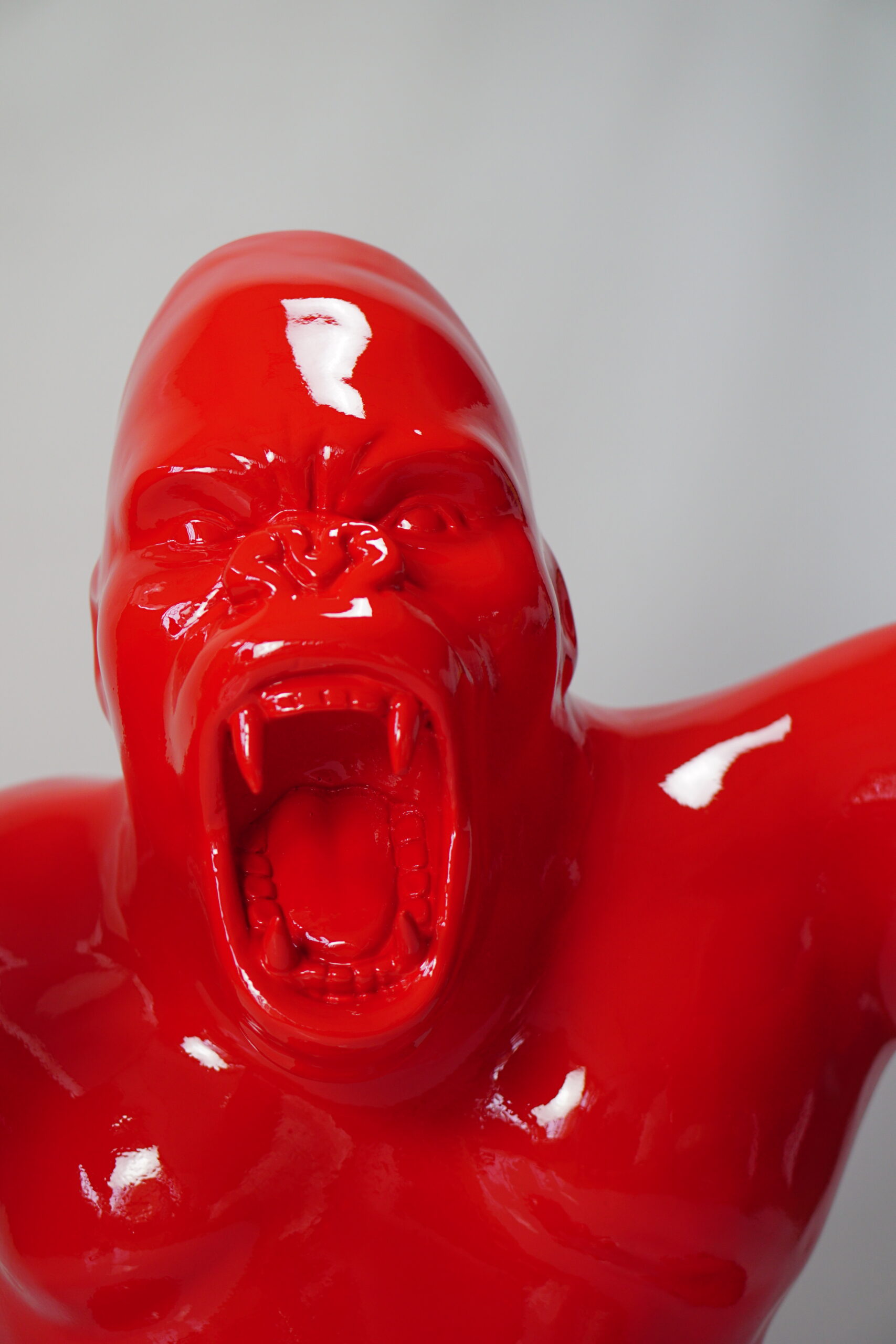 Boxender Gorilla 1 Goryl bokser