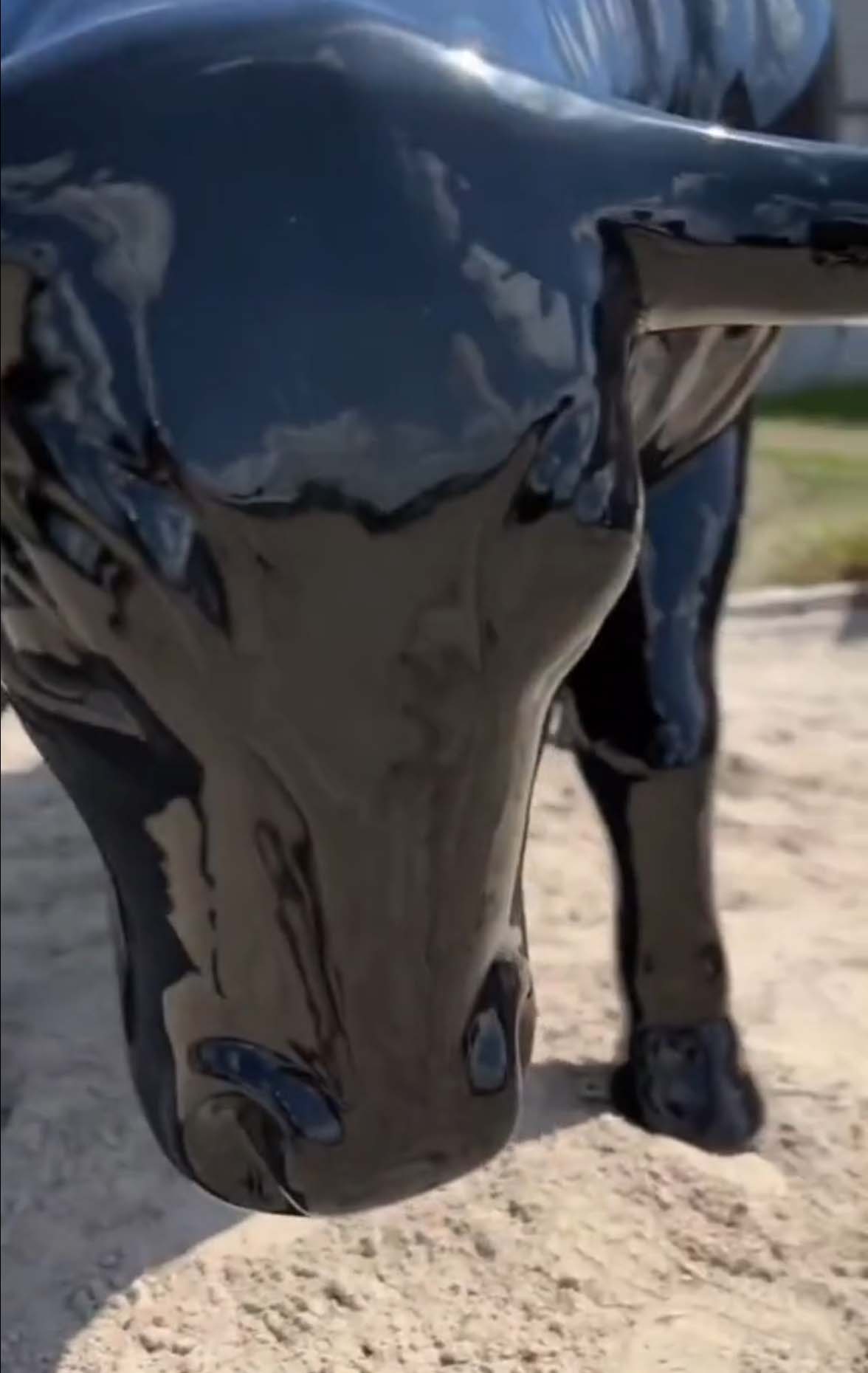 Stier-Skulptur von 3Dform bei den Working Equitation Wettbewerben 2 Zbliżenie na głowę błyszczącej, czarnej rzeźby byka.