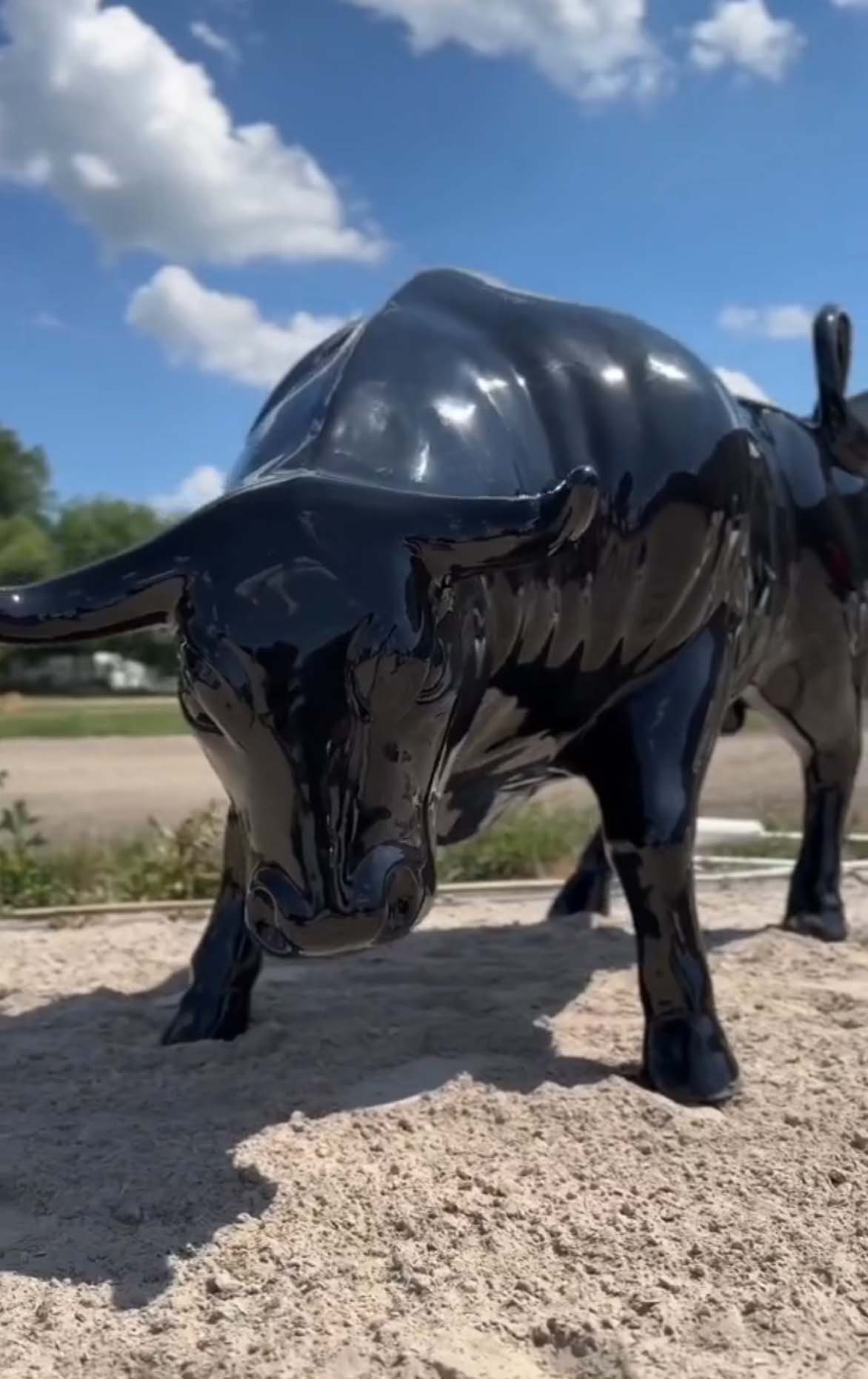 Stier-Skulptur von 3Dform bei den Working Equitation Wettbewerben 3 Czarna, błyszcząca rzeźba byka na piaszczystym podłożu, na tle pochmurnego nieba.