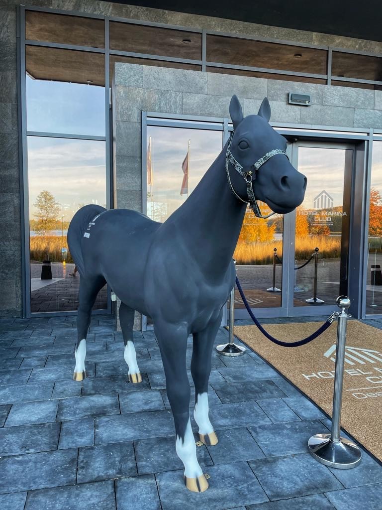 kon hotelmarinaclub 3